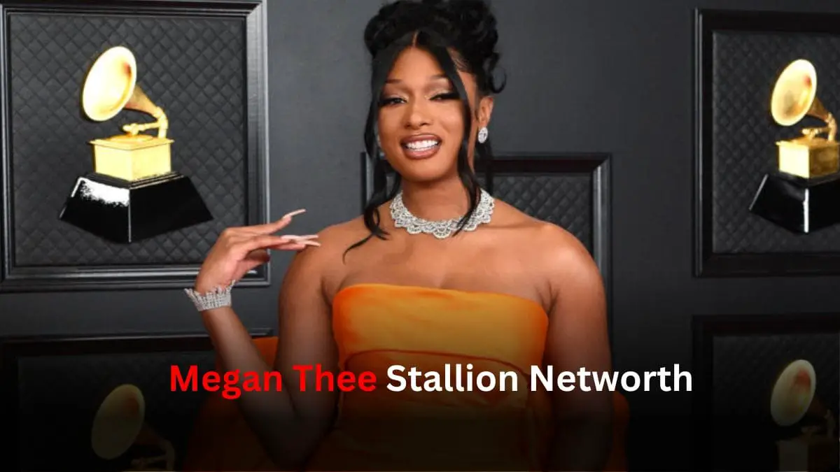 Megan Thee Stallion Networth