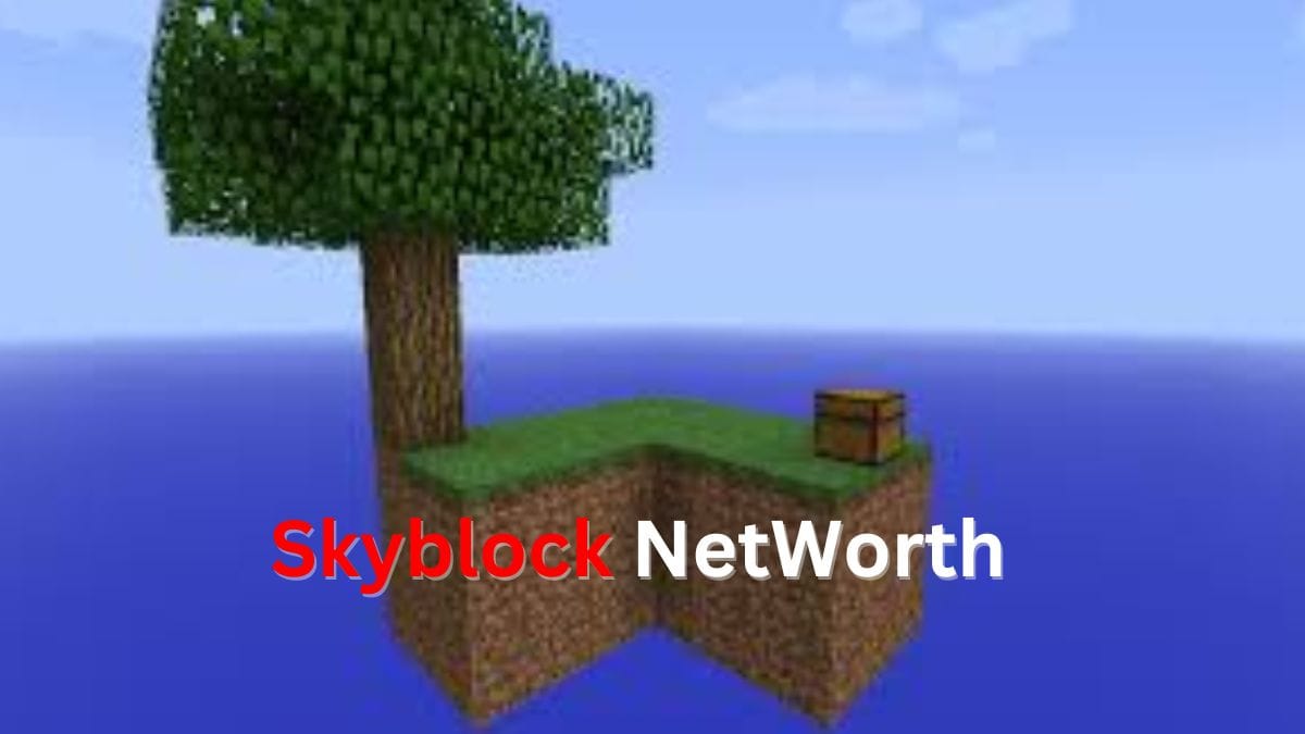 Skyblock NetWorth