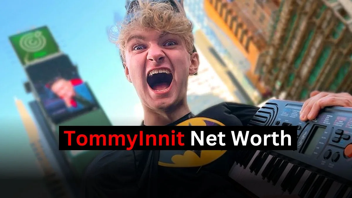 TommyInnit Net worth